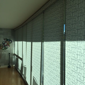 Hunter Douglas Designer Roller and Designer Screen Shades
