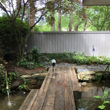 Shaded Asian Garden