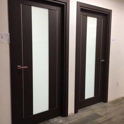 Modern Swing Door with Laminate Insert in Wenge Finish - Interior Doors