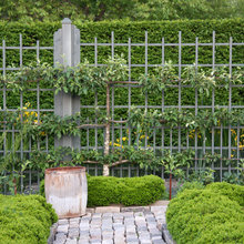 Garden & Landscaping