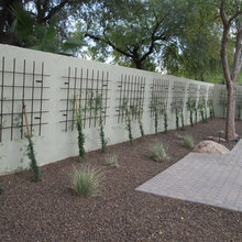 Landscape Ideas