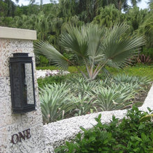 driveway & front wall