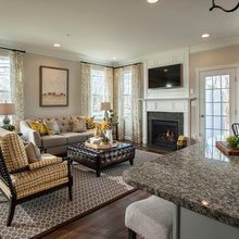 Living Room Ideas
