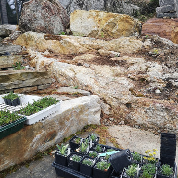 Woods Wildscaping