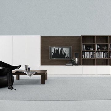 Wall Systems & Book Cases