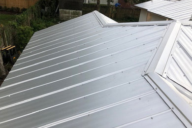 Metal Roof Replacement with Skylight