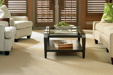 Inspiration for a mid-sized contemporary enclosed carpeted living room remodel in New York with no fireplace