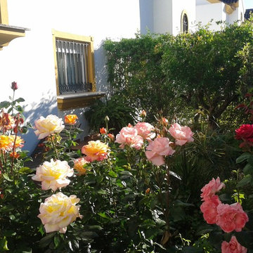 Reforma de jardín en vivienda unifamiliar en el Aljarafe (Sevilla)