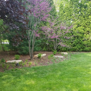 sycamore mulch-less conversion