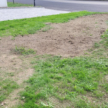 Our work