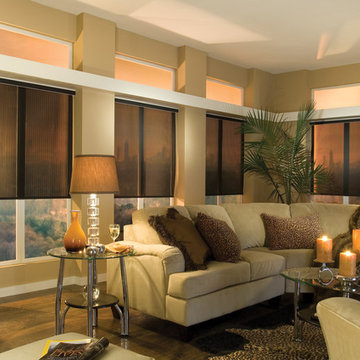 Designer Roller Shades
