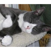 Sue Klein's photo