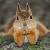 Patrick Dzierla's photo