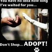 Patti Goodwin's photo