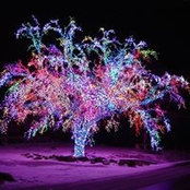 Brad Salisbury's photo