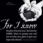 Tricia Freeman's photo