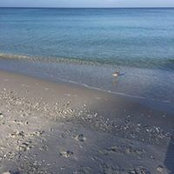 Amy Quinn's photo