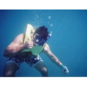 Tim Crede's photo