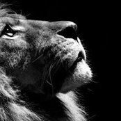 John Barlow's photo