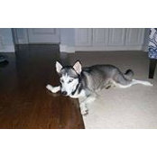 Chris Lewis's photo