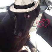 Sammy Brenner's photo