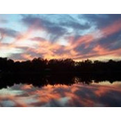 Laura Scott's photo