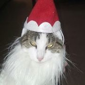 Stephanie Ramser's photo
