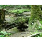 Camilla Hayden's photo