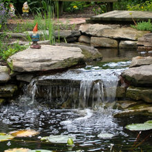 Giardino & Pool