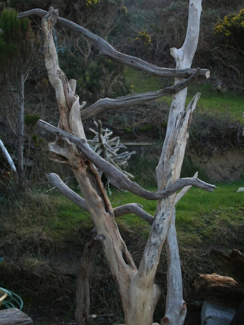 Driftwood Cat tree