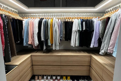 This is an example of a modern storage and wardrobe.