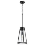 Quorum - Quorum 826-69 One Light Pendant, Black w Clear Finish - Quorum 826-69 One Light Pendant, Black w Clear Finish Bulbs Not Included, Number of Bulbs: 1, Max Wattage: 100.00, Bulb Type: E26, Power Source: Hardwired