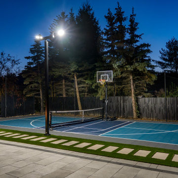 Modern Backyard Multi-Sport Court