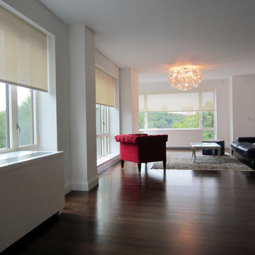Living room screen shades