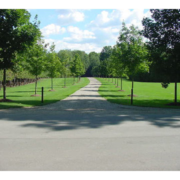 Landscape Designs