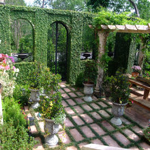 Landscaping for Wit's End