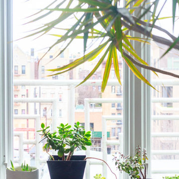 My Houzz: Refreshing Color Energizes a Brooklyn Apartment