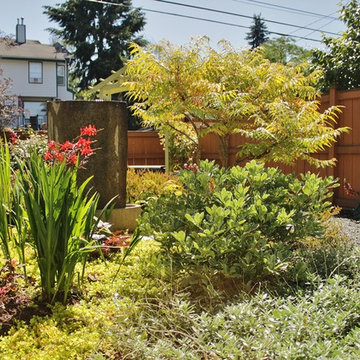 Seattle Yard Undergoes a Transformation