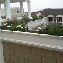 Our front