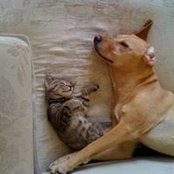 David Ring's photo