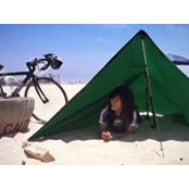Thi Truong's photo
