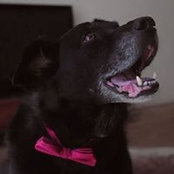 Lisa-Maree Thomason's photo