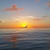 Anthony Prestige's photo