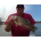 Kenny Wythe's photo