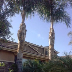 Brents Tree service