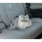 Julie Sherfick's photo