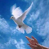 Photo de Hani Al-katheri