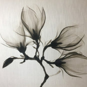 Debbie Mikulla's photo