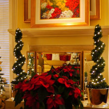 Christmas Uplands