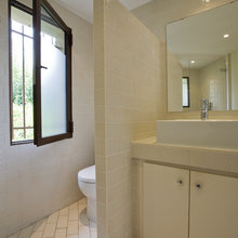 bathroom window